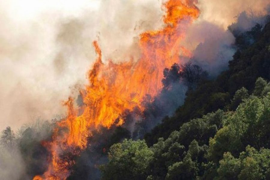 Αποτέλεσμα εικόνας για Μεγάλη πυρκαγιά στην Ηλεία