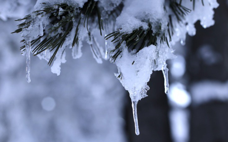 Σε ποιες περιοχές θα παραμείνουν κλειστά τα σχολεία εξαιτίας του παγετού