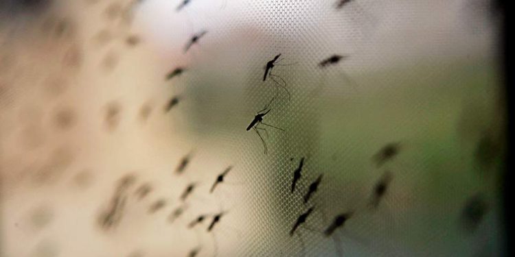 Με χρήση drones η καταπολέμηση των κουνουπιών στην Περιφέρεια Κρήτης