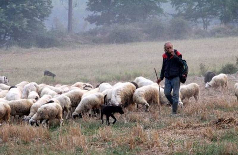 Απόβαση των Κρητικών κτηνοτρόφων στο Υπουργείο Αγροτικης Ανάπτυξης