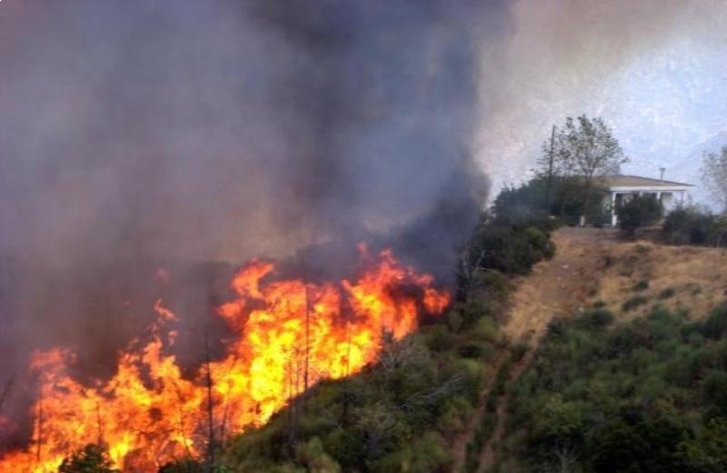 Κάηκαν 17 στρέμματα στο Γάλιπε