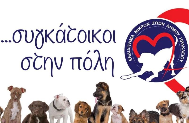 «Συγκάτοικοι στην πόλη» - Εκδήλωση στο Ηράκλειο για την παγκόσμια ημέρα των ζώων