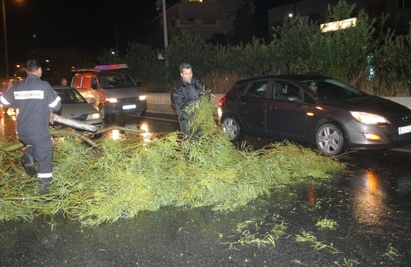 Η κακοκαιρία έριξε και... δέντρο, προκαλώντας τροχαίο ατύχημα! (pics)