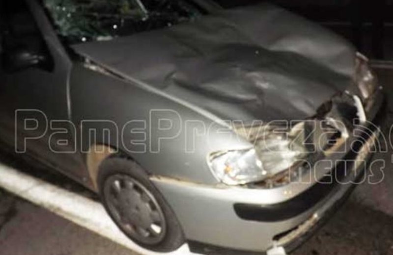 Αυτοκίνητο συγκρούστηκε με… αγελάδα στην Πρέβεζα