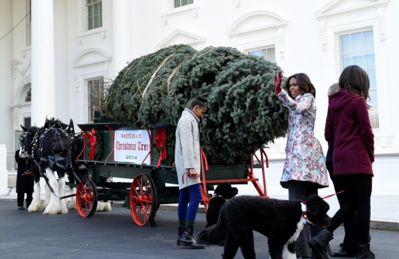 Το χριστουγεννιάτικο δέντρο αφίχθη στο Λευκό Οίκο - Το παρέλαβε η Μισέλ Ομπάμα