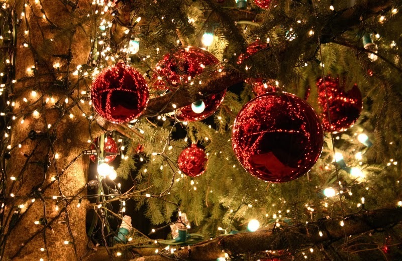 Χριστουγεννιάτικες εκδηλώσεις στα Κ.Π.Δ. & το Κ.Δ.ΑΠ. του Δ.Ο.ΚΟΙ.Π.Π. του Δήμου Χανίων