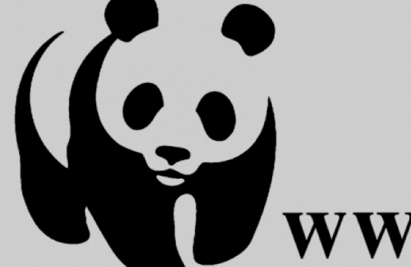 WWF: Ανησυχητική υποβάθμιση του περιβάλλοντος στο νέο κυβερνητικό σχήμα