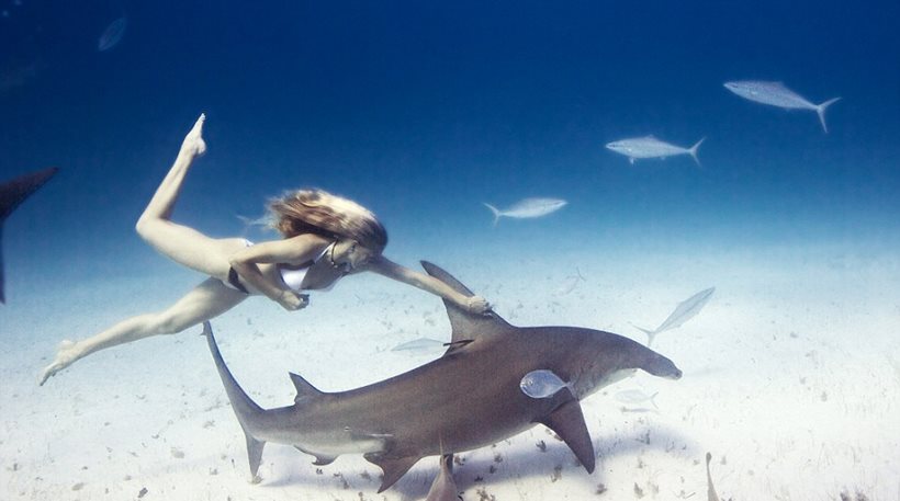 Οι καρχαρίες μπορεί να κρατούν το «κλειδί» για τη μάχη κατά του Πάρκινσον