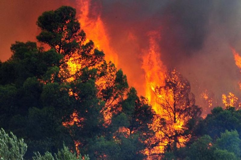 Υπό πλήρη έλεγχο η φωτιά στην Κίσσαμο Χανίων 