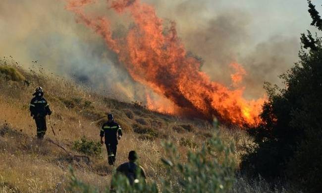 Πυρκαγιά στα Καστελλιανά - Στη μάχη με τις φλόγες οι πυροσβέστες