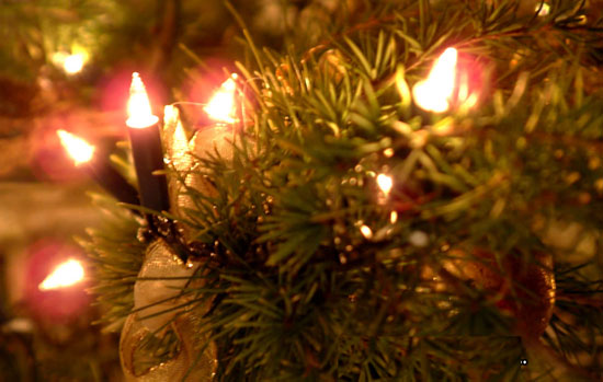 Ηράκλειο: Είδαν τα φωτάκια του χριστουγεννιάτικου δέντρου να παίρνουν φωτιά!
