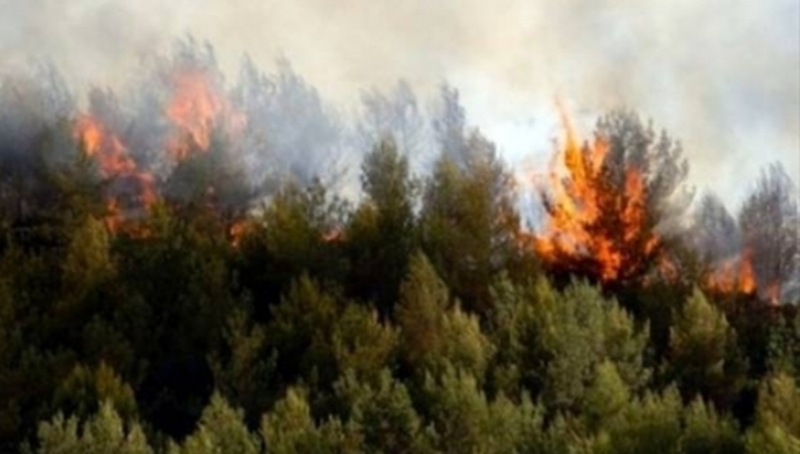 Υπό μερικό έλεγχο τέθηκε η φωτιά στο Μαδράτι 