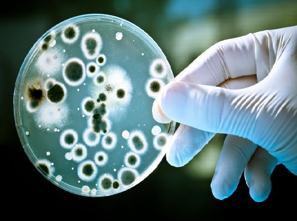 Έξι απλοί τρόποι για να κρατήσετε μακριά τα... μικρόβια