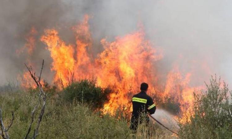 Ενας 67χρονος κατηγορείται για την φωτιά στο Σελάκανο