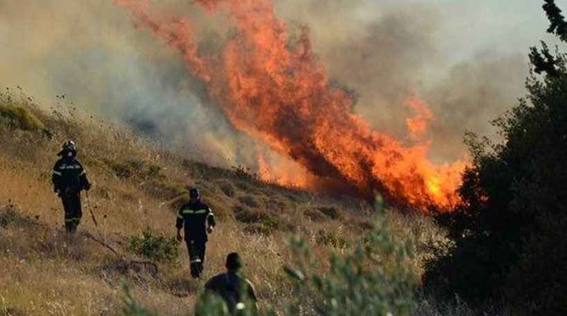 Πυρκαγιά σε δασική έκταση στη Μάνη