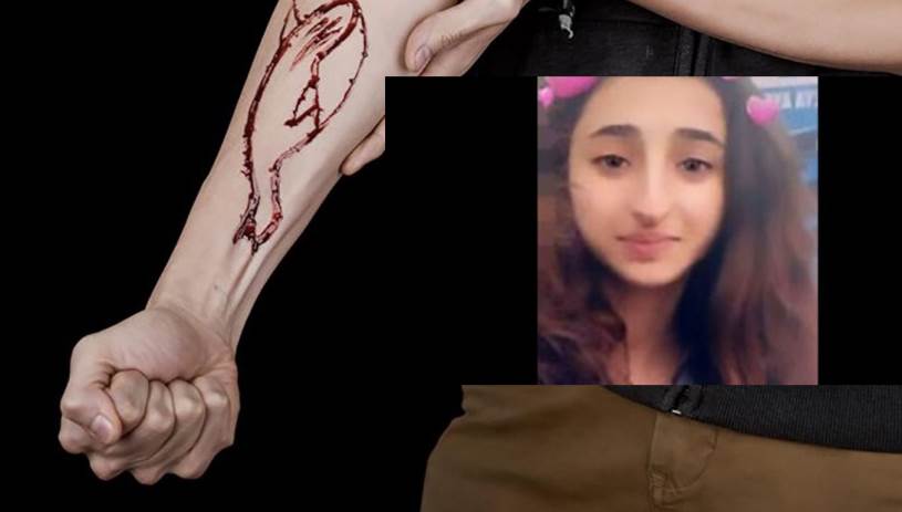 Τουρκία: Νεκρή 13χρονη, θύμα της «Μπλε φάλαινας» - Το γράμμα που άφησε 