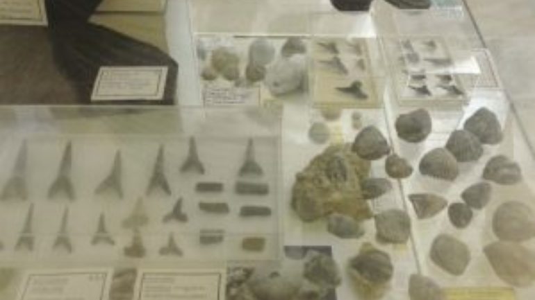 Ερευνητής προσφέρει στον Δήμο Ρεθύμνου συλλογή χιλιάδων σπάνιων απολιθωμάτων (pic)