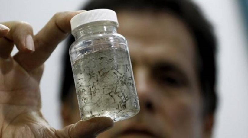 Ταϊλάνδη: Επιβεβαίωση δύο περιπτώσεων μόλυνσης από τον ιό Ζίκα