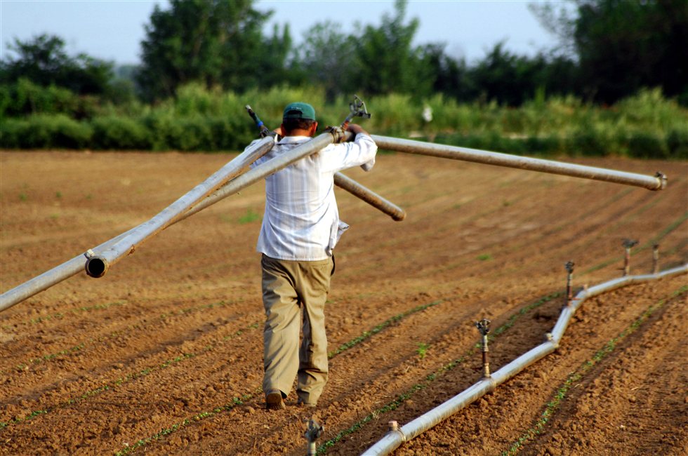 Αναρτήθηκε η προδημοσίευση για το μέτρο "Νέων Γεωργών" του Προγράμματος Αγροτικής Ανάπτυξης  2014-2020