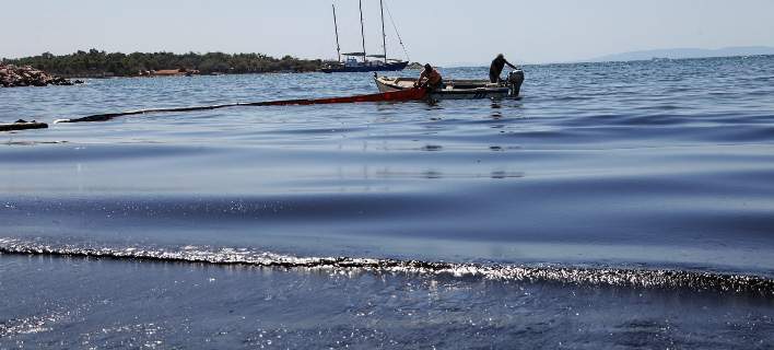 Τέλος το ψάρεμα στον Σαρωνικό: Σε απόγνωση οι ψαράδες -Επεσαν 60% οι πωλήσεις 