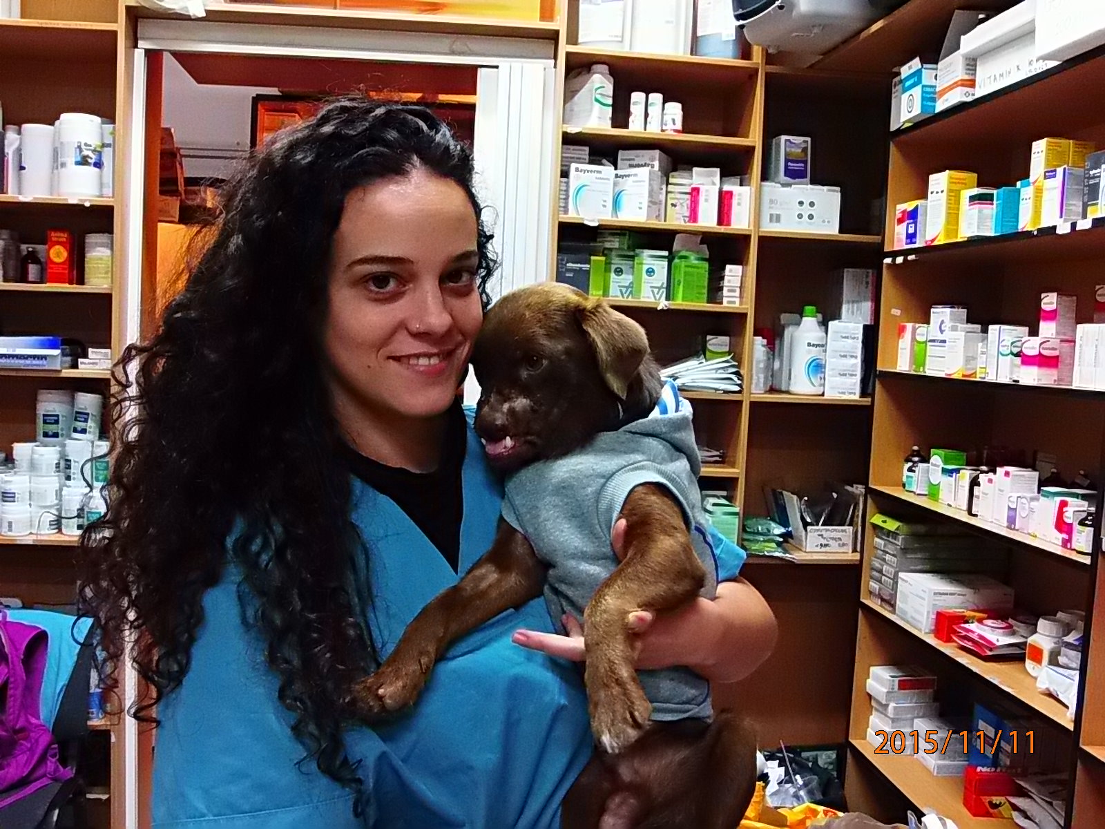 Χανιά: Πρωτοποριακή χειρουργική επέμβαση έσωσε τον σκύλο που κάποιος χτύπησε διαλύοντας του τη γνάθο (pics)