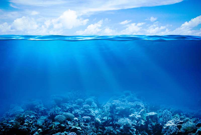 Εξαντλείται ο χρόνος για την θαλάσσια ζωή στους ωκεανούς