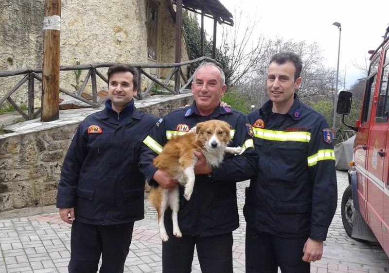 Πυροσβέστες έσωσαν σκυλάκι που έπεσε σε ποτάμι στη Βέροια
