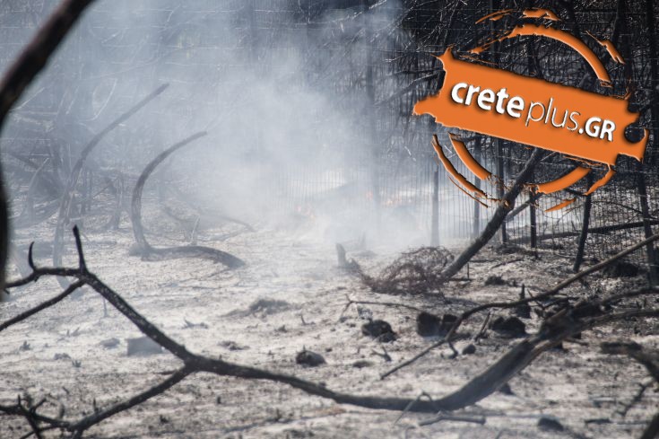 Θέμα CretePlus.gr: Οι φωτιές που ανάβουν αγρότες είναι επιβλαβείς και «πνίγουν» τους πολίτες 