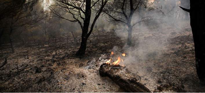 Πολύ υψηλός ο κίνδυνος πυρκαγιάς και σήμερα στην Κρήτη - Η κατάσταση στα πύρινα μέτωπα