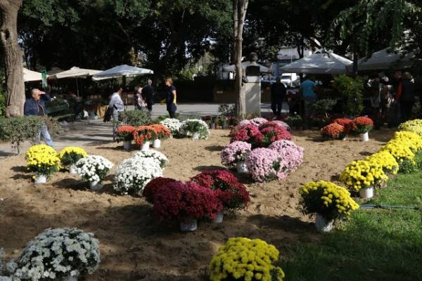 Ηράκλειο: Την Παρασκευή λήγει η δημόσια διαβούλευση για το πάρκο Γεωργιάδη..