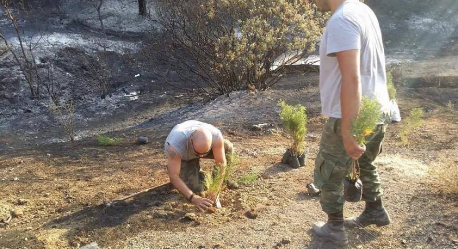 Προσπαθούν να...αναστήσουν το δάσος- Φύτεψαν 3000 δέντρα στο Σελάκανο! 