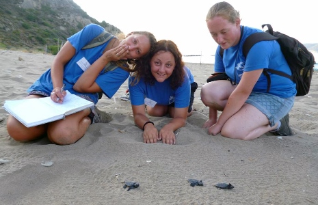 Οι «ήρωες» της σεζόν που προστάτευσαν την Θαλάσσια Χελώνα Caretta Caretta (pics)