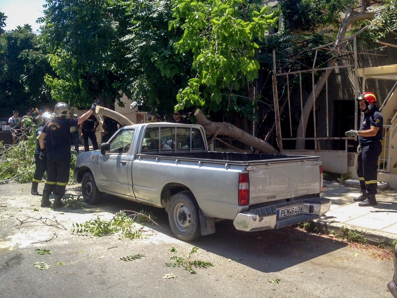 Ενα τεράστιο δέντρο έπεσε πάνω σε αυτοκίνητο στη Λεωφόρο Γ. Παπανδρέου στο Ηράκλειο (pics)