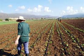 «Να ενταχθούν οι επιλαχόντες νέοι αγρότες στο Πρόγραμμα Νέων Γεωργών» 