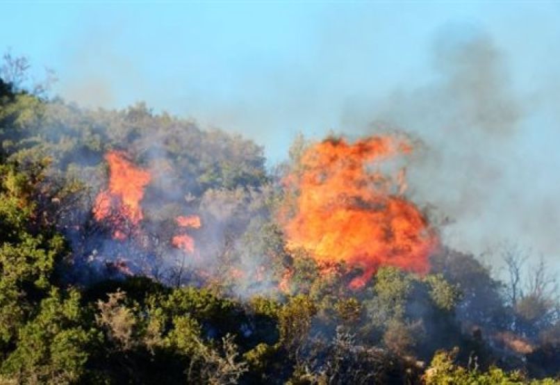 Φωτιά σε δασική έκταση στο Άστρος Κυνουρίας - Δεν κινδυνεύει κατοικημένη περιοχή!