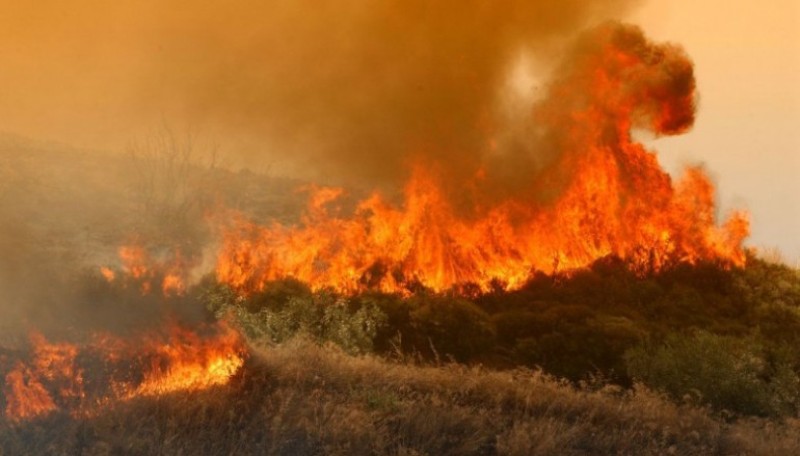 Βοσκός ο υποπτος για τη φωτιά στο Σελάκανο που έκαψε 4000 στρέμματα-Η Πυροσβεστική εχει υλικό από κάμερα 