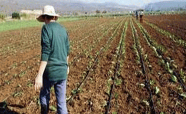 Βουλευτές ΣΥΡΙΖΑ: «Να εξεταστεί το ενδεχόμενο ένταξης & των επιλαχόντων νέων αγροτών στο πρόγραμμα Υπομέτρο 6.1» 
