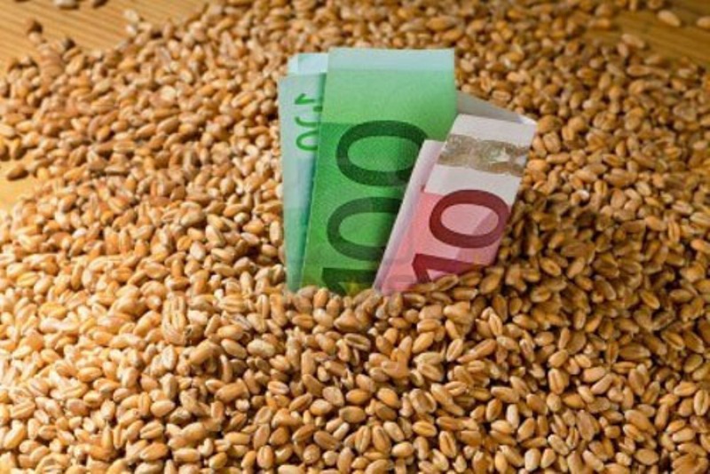 Βλέπουν το «χρώμα του χρήματος»οι αγρότες: Καταβάλλονται οι αποζημιώσεις για τον περονόσπορο 