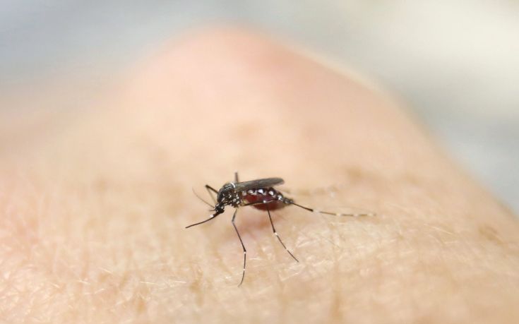 Συστάσεις για την προστασία από τσιμπήματα κουνουπιών