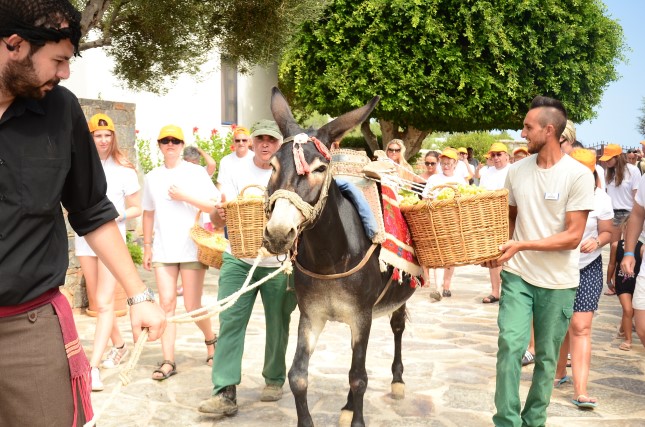Όταν η Παράδοση συναντά τη Φιλοξενία: Ημέρα παραδοσιακού τρύγου στο Creta Maris Beach Resort! (pics)