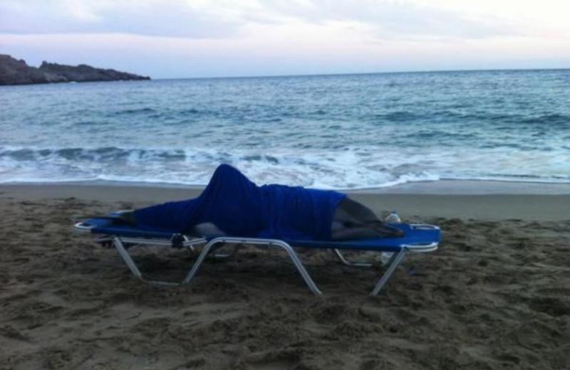 Ρέθυμνο: Έσωσαν δελφίνι που ξεβράστηκε σε παραλία (pic)