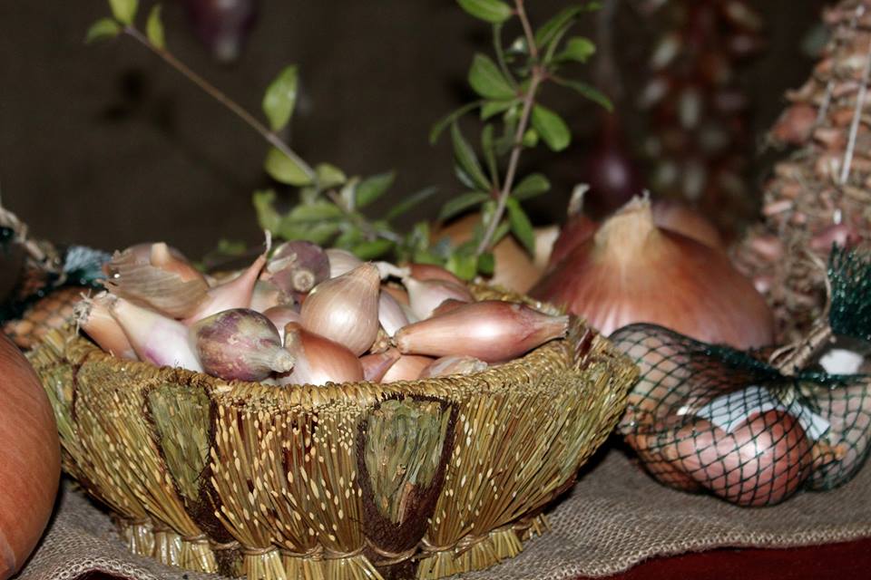 Πυρετώδεις οι προετοιμασίες για την «Γιορτή Κρεμμυδιού»- Ολοι οι Κασσανοι στο πόδι! 