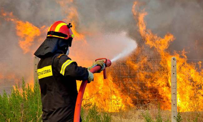 Πυρκαγιές σε Λακωνία, Μέγαρα, Εύβοια και Αμφίκλεια