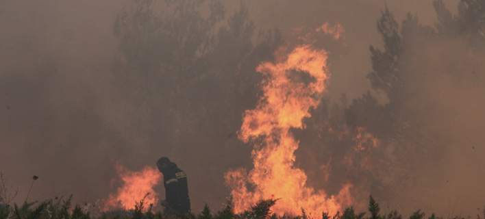 91 φωτιές σε ένα 24ωρο στη χώρα -Καταστροφικό το πέρασμά τους 