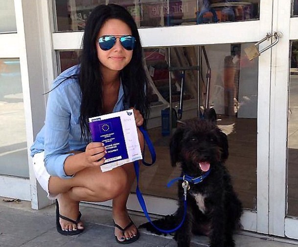Αδέσποτο σκυλάκι έσωσε 25χρονη στην Κρήτη και εκείνη ξόδεψε χιλιάδες λίρες για να το υιοθετήσει (pics)
