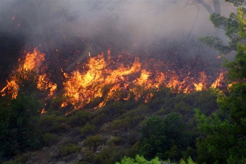 Πολύ υψηλός κίνδυνος πυρκαγιάς σήμερα-Ανακοίνωση της ΓΓ Πολιτικής Προστασίας 
