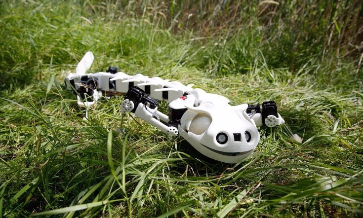 Το ρομπότ-σαλαμάνδρα που κατασκευάστηκε από Ελβετούς επιστήμονες