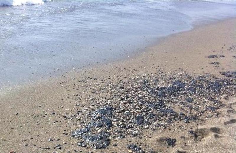 Πετρελαιοκηλίδα απειλεί τις φωλιές των χελωνών Καρέτα-Καρέτα στον Κομμο! (pics)