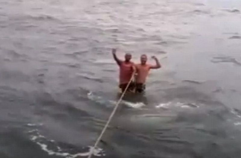 Σάλος και οργή στο διαδίκτυο: Δύο άνδρες κάνουν σέρφινγκ... στην πλάτη φαλαινοκαρχαρία!
