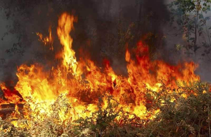 Συνελήφθη 65χρονος για πυρκαγιά στο Καστρί
